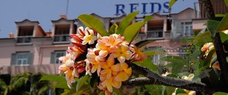 Breakfast with Ulisses Marreiros, Reid’s Palace Hotel, Madeira